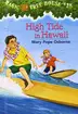 Book cover of High tide in Hawaii
