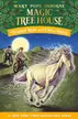 Book cover of Windy Night with Wild Horses
