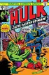 Book cover of Incredible Hulk (1962-1999) #205