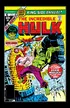 Book cover of Incredible Hulk (1962-1999) Annual #6
