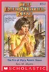 Book cover of The Fire at Mary Anne's House