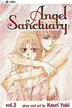 Book cover of Angel Sanctuary, Vol. 3