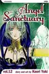 Book cover of Angel Sanctuary, Vol. 12