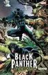 Book cover of Black Panther: Panther's Quest