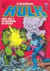 Book cover of O Incrível Hulk - Quem Será o Exterminador do Futuro?