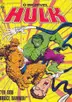 Book cover of O Incrível Hulk - Eu Sou Bruce Banner!
