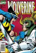 Book cover of Wolverine n° 41