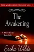 Book cover of The Awakening