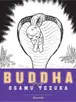 Book cover of Buddha 6: Ananda