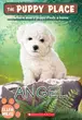 Book cover of Angel