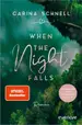 Book cover of When the Night Falls