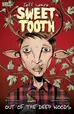 Book cover of Sweet Tooth