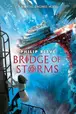 Book cover of Bridge of Storms