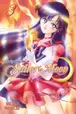 Book cover of Pretty Guardian Sailor Moon, Vol. 3