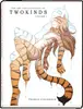 Book cover of The art and evolution of Twokinds artbook vol 1