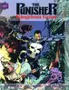 Book cover of The Punisher: Kingdom Gone