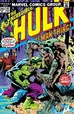 Book cover of Incredible Hulk (1962-1999) #197