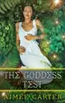 Book cover of The goddess test