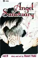 Book cover of Angel Sanctuary, Vol. 9