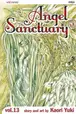 Book cover of Angel Sanctuary, Vol. 13