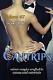 Book cover of Cantrips: Volume #2: Minor Magics Crafted to Amuse and Entertain