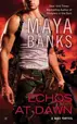 Book cover of Echoes at Dawn