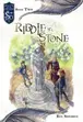 Book cover of Riddle in Stone