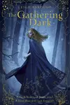 Book cover of Shadow and Bone & Siege and Storm