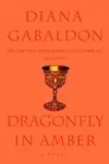 Book cover of Dragonfly in Amber