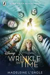 Book cover of A Wrinkle in Time Quintet