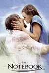 Book cover of The Notebook