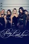 Book cover of Pretty Little Liars
