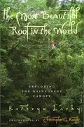 Book cover of The Most Beautiful Roof in the World