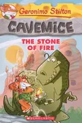 Book cover of The Stone of Fire