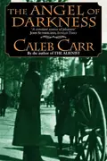 Book cover of The Angel of Darkness