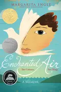 Book cover of Enchanted air