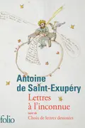 Book cover of Lettres à l'inconnue/Choix de lettres dessinées
