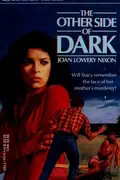 Book cover of The Other Side of Dark