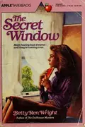 Book cover of The Secret Window