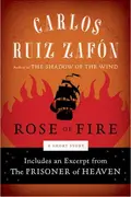 Book cover of The Rose of Fire