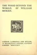 Book cover of The wood beyond the world