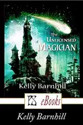 Book cover of The Unlicensed Magician