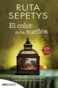 Book cover of El color de los sueños
