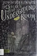 Book cover of The Secret of the Underground Room