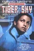 Book cover of Tiger in the Sky