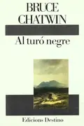Book cover of AL TURO NEGRE