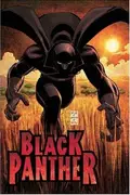 Book cover of Who Is the Black Panther