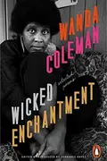 Book cover of Wicked Enchantment