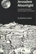 Book cover of Jerusalem Moonlight