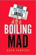 Book cover of Boiling Mad